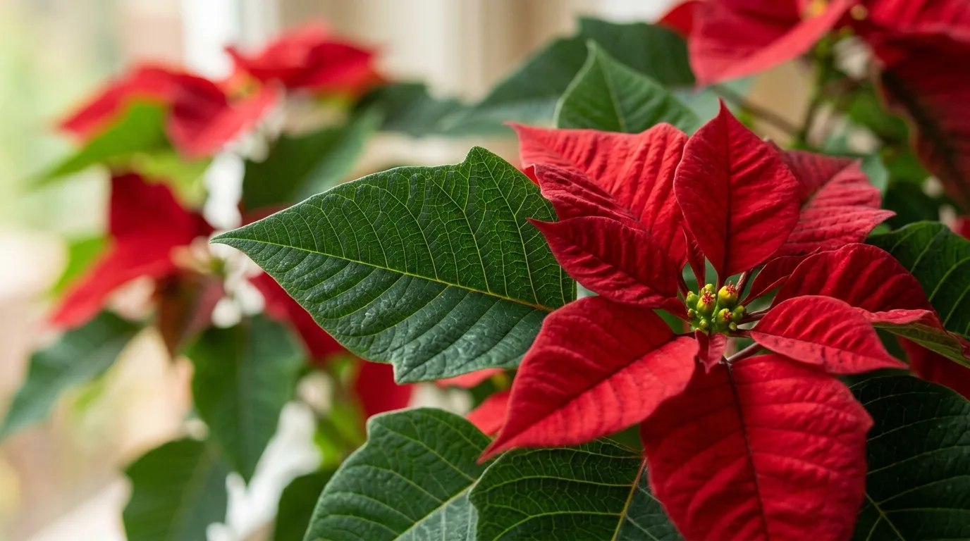 Maintain Stable Indoor Temperatures